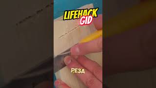 Универсальные советы для дома Больше интересного в телеграм lifehacks diy tools tips shorts [upl. by Pepito125]