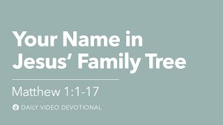 Your Name in Jesus’ Family Tree  Matthew 11–17  Our Daily Bread Video Devotional [upl. by Raynor915]