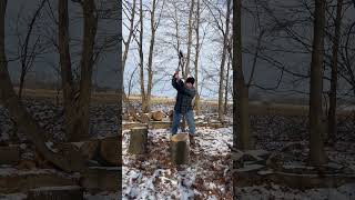 Hand splitting hickory wood with Fiskars Maul firewood [upl. by Atenahs]