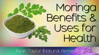 Moringa Benefits and Uses [upl. by Norvun]