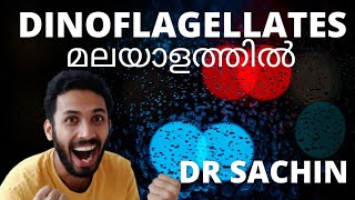 dinoflagellates class 11 malayalam  biological classification class 11 kingdom protista [upl. by Emirac]