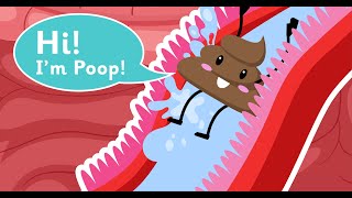 Biology  quotWhats In Our Digestive Systemquot Explained  Human Body  Science for Kids [upl. by Aciamaj135]