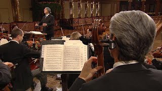 Hoffnung und Optimismus für 2021 das Neujahrskonzert der Wiener Philharmoniker [upl. by Haroppiz420]