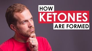 How Ketones are Formed in the Body a simple nonscientific overview [upl. by Vin31]