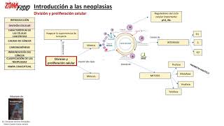 FISIOPATOLOGÍA NEOPLASIAS INTRODUCCIÓN I [upl. by Ahsimet]