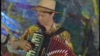 Cafe Accordion Orchestra  Baiao [upl. by Aerehs]