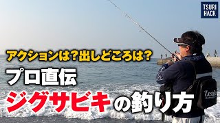 ショアジギで釣れない時の最終兵器「ジグサビキ」の使い方をプロに聞いてきた [upl. by Kared]