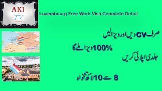 Luxembourg Work Visa Detail [upl. by Porter817]