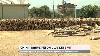 Çmimi i druve pëson ulje këtë vit  Qytetarët zgjedhin ngrohjen me energji elektrike [upl. by Ringler117]