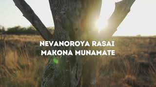 Mambo Dhuterere  Awurere Official Lyrics [upl. by Akinehs]