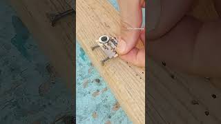 Awesome DIY wire stripping tool idea shorts diy tools ideas project [upl. by Edaw]