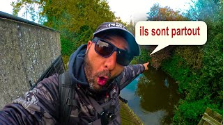 CARNAGE EN RIVIÈRE  CHAQUE LANCER UNE PRISE  😱🎣Session de FOU [upl. by Marciano119]