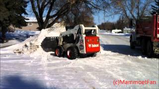 Bobcat S250 loading dump truck [upl. by Kahle155]