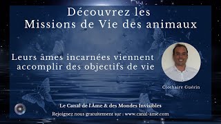 quotLes missions de vie des animauxquot avec Clothaire Guérin [upl. by Lleunamme570]