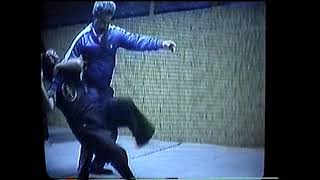 Pencak Silat Ratu Adil Sensei Mike Pecina Guru Rudy Terlinden technique [upl. by Feenah118]