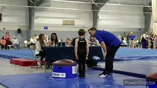 Level 5 Pommel  Mushroom Gymnastics State Champion 2020 [upl. by Aynotan]