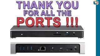 Thanks for All The Ports  StarTech TB3 Dual 4K Docking Station [upl. by Gundry998]