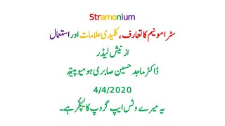 stramonium homeopathic medicine uses Leading Symptoms Personality Introduction in Hindi  Urdu [upl. by Emanuele236]