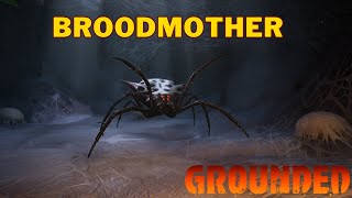 Where To Find The Broodmother in Grounded  Broodmother Location [upl. by Hteboj]