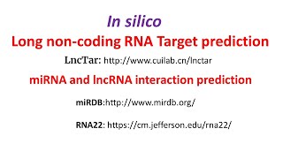 In silico Long non coding RNA target prediction  miRNA lncRNA interaction prediction [upl. by Esinnej877]