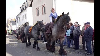 Historisches Erntedankfest in Blankenheim Dollendorf 01102017 [upl. by Yolande]