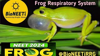 Frog 🐸 Respiratory System  NEET Biology NCERT Structural Organisation In Animals [upl. by Duj]