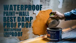 Waterproof Paint for Wall  Best Damp Proof Paint  Waterproof Liquid for Roof [upl. by Anitan]