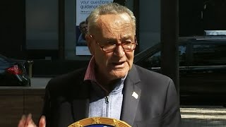 Could Primary Threat Make Schumer Actually Do Something [upl. by Xyla]