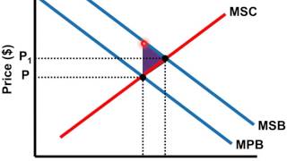 Positive Externalities Graph  AP Microeconomics [upl. by Ahsenom265]