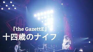 the GazettE『十四歳のナイフ』LIVE [upl. by Derraj410]