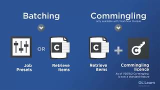 Batching and Commingling in PReS™ Connect [upl. by Gisella]