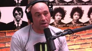 Joe Rogan on Chiropractors [upl. by Cleodell]