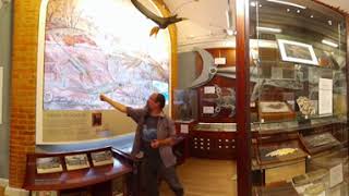 Lyme Regis Fossil Festival Mary Anning Museum  Chris Andrew Part 1  360 Video [upl. by Postman]