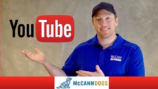 Welcome To McCann Dogs On YouTube [upl. by Bartholemy]