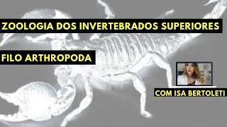 ZOOLOGIA DOS INVERTEBRADOS SUPERIORES II ARTHROPODA â€¢ BERTOBIO [upl. by Idnem340]