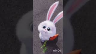 Snowball The Rabbit Saying Kaiyl OHare Farts [upl. by Nura474]