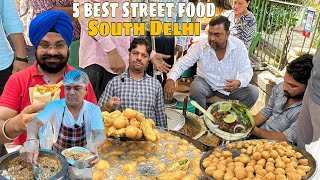 Top 5 Famous street food in South Delhi 😍  Dolma Aunty Momos  Ram Ladoo Afghani Burger [upl. by Aym305]