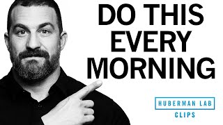 How to Feel Energized amp Sleep Better With One Morning Activity  Dr Andrew Huberman [upl. by Aihsak]