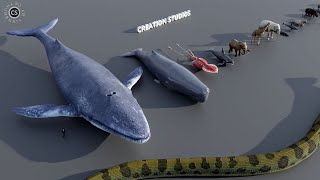 Animal Size in perspective  3d Animation Comparison [upl. by Freida]