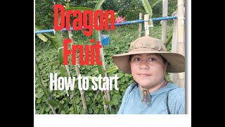 Negosyo Realtalk Farming Venture How to start [upl. by Ahsiugal]