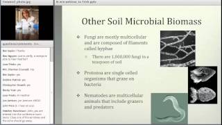 Nitrogen Mineralization A Microbial Mediated Process [upl. by Akimak]