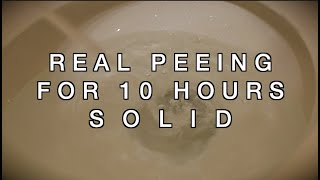 Peeing Sound for TEN HOURS  Sound to Make You Pee  High Quality Recording [upl. by Felt]