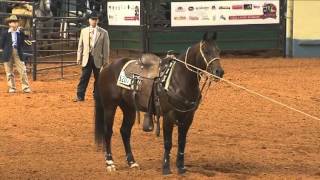 2012 AQHA World Championship Show Part 2 [upl. by Aihsik]