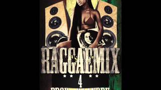 Raggae Mix 4 Pro Dj Andru Andres Valois [upl. by Henden]