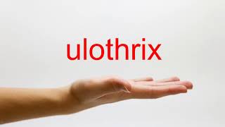 How to Pronounce ulothrix  American English [upl. by Asfah]