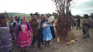 Los mapuches luchan por su lengua y su cultura [upl. by Mauricio915]