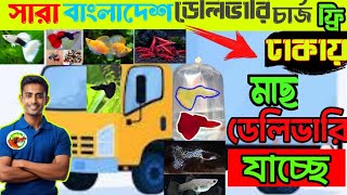 রঙিন মাছ ডেলিভারি 🐠। কিভাবে রঙিন মাছ ডেলিভারি করে 😱। How to packaging colorful fish।aquarium fish [upl. by Anayrb]