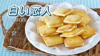 5 Ingredients Shiroi Koibito Chocolat Blanc et Langue de Chat Recipe  OCHIKERON [upl. by Enetsuj]