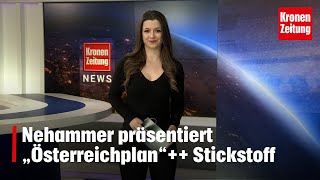 Karl Nehammer präsentiert „Österreichplan“  Hinrichtung mit Stickstoff [upl. by Calandria]