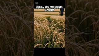 세계에서 가장 많이 재배되는 농작물은⁉️ 🌾🥔🌽 The most cultivated crop in the world is  ❣️ food shorts [upl. by Enytsuj]